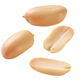 Illustration for article titled Eat More Nuts